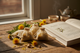 Dandelion Tea Bags