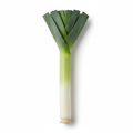 Leek