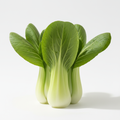 Fresh baby bok choy on white background