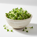 Fresh broccoli sprouts in bowl on white background