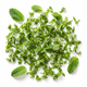 Mint Fresh Finely Chopped