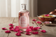 Rose Water