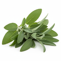 Sage