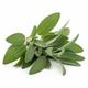 Sage