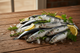 Sardines Fresh